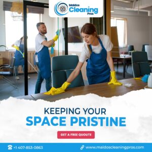 Elevate Your Home with Top-Notch Cleaning Services in Naples, FL