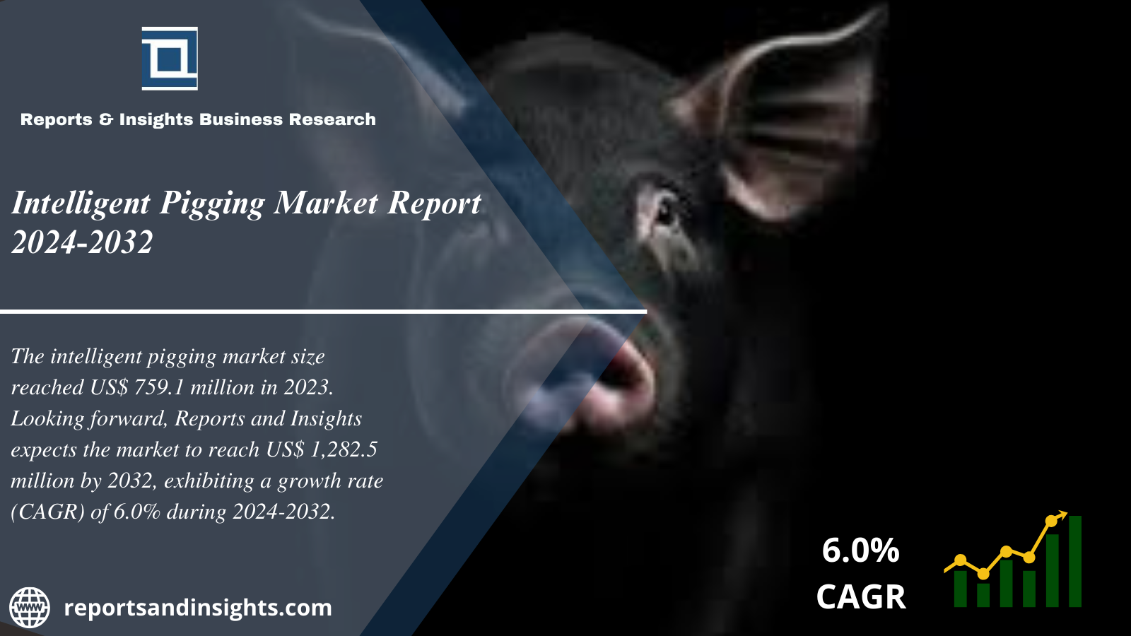 Intelligent Pigging Market 2024-2032: Trends, Share, Size, Growth and Opportunities